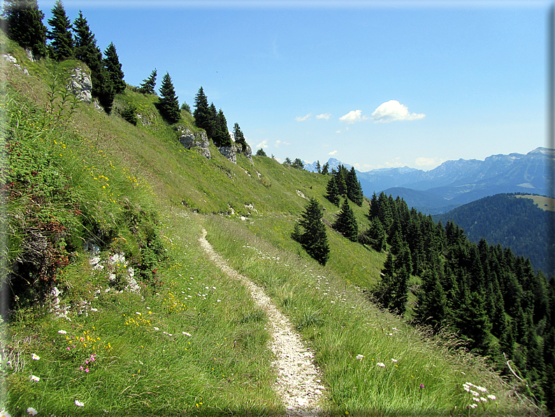 foto Trodo dei Fiori